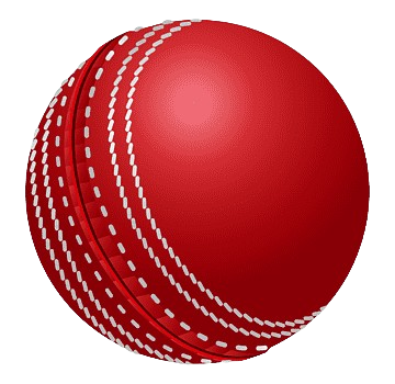 png transparent cricket balls cricket bats grasshopper sport insects sphere thumbnail removebg preview